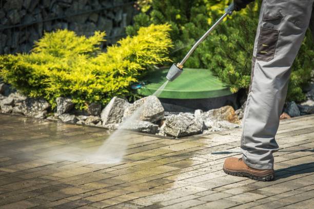 Best Warehouse Cleaning  in Celina, TX